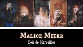 Malice Mizer  Bois de Merveilles  Romaji Lyrics  English Subtitles [upl. by Ylla334]