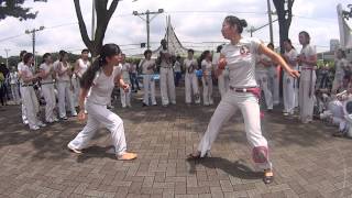 Roda de Brazilian Festival 1 Capoeira Regional Japao 2014 [upl. by Nalyak]