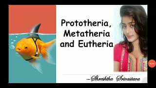 biology science gicmains upsc Prototheria Metatheria and Eutheria [upl. by Hgielime963]