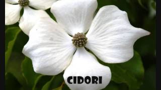 Cidori  Popaï Wade [upl. by Armond]