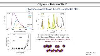 Phase Separated Condensates from Oligomeric Protein Assemblies by Athi N Naganathan [upl. by Sharma830]