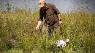 Gundog Training  Perfecting The Pattern [upl. by Alset]