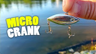 Tiny CrankBait Catches Tons of Bass [upl. by Arym]