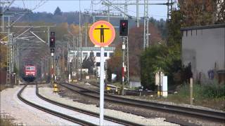 Zuge am Bahnhof MOOSBURG  Train mix from Moosburg Station  25102013 [upl. by Ardek]