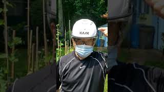 KASK Safety Helmet [upl. by Lsiel52]