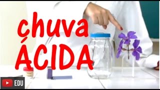 Experimentos de Química  Chuva ácida [upl. by Marciano981]