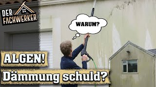 Hässliche Veralgung der Hauswand wegen Dämmung [upl. by Mcfadden]