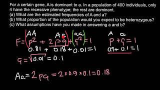 How to find expected genotype frequency Hardyweinberg formula explained [upl. by Amias]