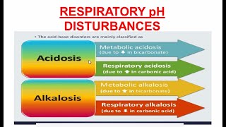 Respiratory Acidosis and Alkalosis  Respiratory pH Disturbances [upl. by Nitneuq]