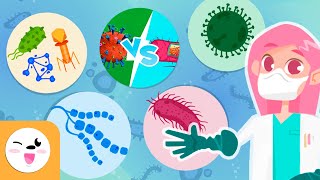 Microorganisms  Compilation Video  Bacteria Viruses and Fungi  Explanation for Kids [upl. by Gnil]