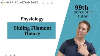 Physiology Sliding Filament Theory  MCAT Crash Course [upl. by Kenzi]