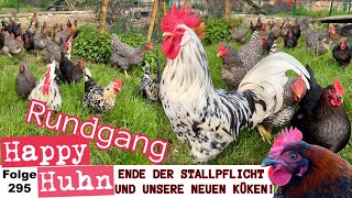 Endlich Ende der Stallpflicht  Unsere neuen Küken von neuen Rassen Ein Hofrundgang HAPPY HUHN E295 [upl. by Notecnirp]