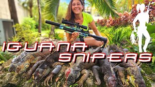 Monster sized iguanas removed by Iguana Snipers [upl. by Gratt]