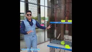 MBS Bird Cages Heavy duty Stackable Towers birdlovers pets birdcages birdcare birds petcare [upl. by Namyh804]