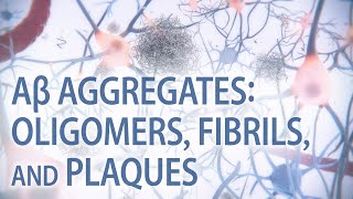 Aβ aggregates oligomers fibrils amp plaques  Alzheimer’s disease  medical animation [upl. by Annadiane889]