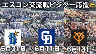 【エスコン】プロ野球交流戦での各チーム応援の様子 [upl. by Gustin52]