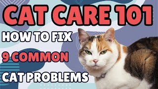 Cat Care 101 How to Fix 9 Common Problems [upl. by Novj]