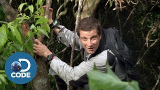 Bear Grylls in Borneo Jungle  Man vs Wild 16 [upl. by Yorle]