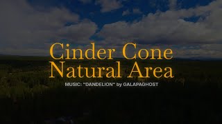 Cinder Cone Natural Area  Bend Oregon  6162024 2 [upl. by Adriaens18]