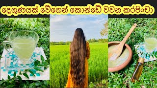 කරපිංචා වලින් තේ එක  ඔයිල් එක සහ පැක් එක හදමු Tips for Hair Regrowth with Curry Leaves mydiary [upl. by Knipe660]