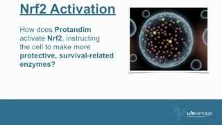 Dr Marvin  The Truth How amp Why Protandim Works [upl. by Alad]