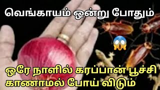 அடேங்கப்பா இதுவரை கேள்விபடாத சூப்பர் டிப்ஸா இருக்கே  Kitchen Tips in Tamil [upl. by Yup]