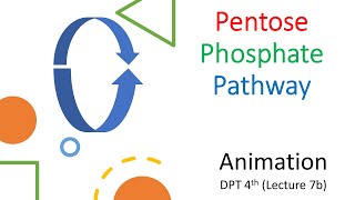 Animated Pentose Phosphate Pathway Complete [upl. by Airekal398]