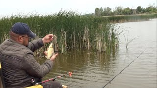 Pecanje na plovak i method hranilicom bara Sremski Karlovci [upl. by Yrellih]