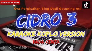 CIDRO 3 NADA CEWEK KARAOKE DANGDUT KOPLO STK CHANEL [upl. by Temirf122]