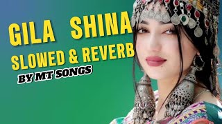 GilaShina slowedReverbSong New Shina Song [upl. by Roseanna499]