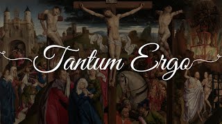 Tantum Ergo Sacramentum  Gregorian Chant [upl. by Anaela]