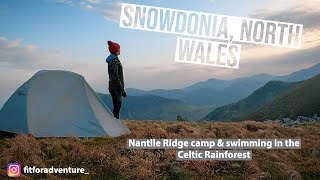 Nantlle Ridge Wild Camp amp Swimming in the Celtic Rainforest  Snowdonia North Wales [upl. by Tirreg]