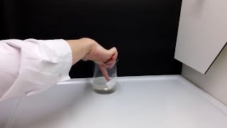 Toluene  Styrofoam experiment [upl. by Yemerej11]