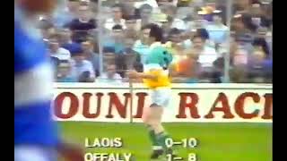 Offaly v Laois Leinster Hurling Championship Highlights 1987 [upl. by Ydualc]