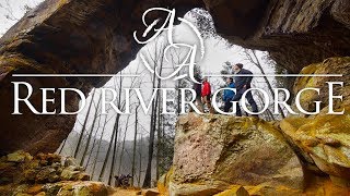 Red River Gorge 4K  Hiking Camping and Backpacking Kentuckys Hidden Wonders [upl. by Adianez]