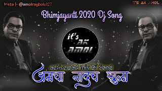 Aamcha Nadach Khula DJ  💙आमचा नादच खुळा DJ💙  Its AK Amol  2020 New Jay Bhim Song Dj [upl. by Arnuad]