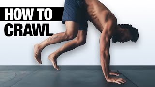 Beginners Ground Movement Crawling Basics Routine [upl. by Euqina]