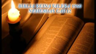 Biblia HabladaBIBLIA REINA VALERA 1960 NEHEMIAS CAP 12 [upl. by Rosemonde]