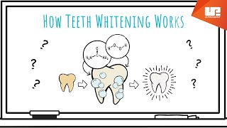 How Teeth Whitening Works [upl. by Yemorej]