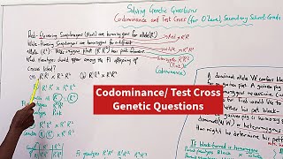 Solving Genetic Questions 3  CodominanceTest Cross O Level Secondary School Grade 10  12 [upl. by Skilken]