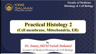 Practical histology 2 membranous cell organelles I [upl. by Trab]