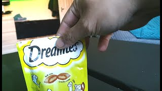 Dreamies advert Test after feeding the cats for a few weeks [upl. by Myrtie]