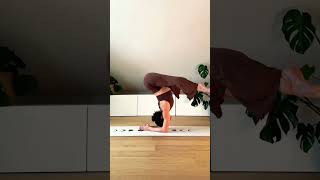 Yoga and Exercises  Flexibility  Muscle Strength  Stress Relief💯 trending shortsviral yoga [upl. by Lizzie]