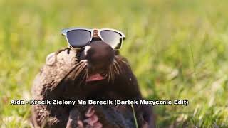 Aida  Krecik Zielony Ma Berecik Bartek Muzycznie Edit [upl. by Deehsar]