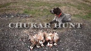 Chukar Hunting  Rosehill [upl. by Suiraj]