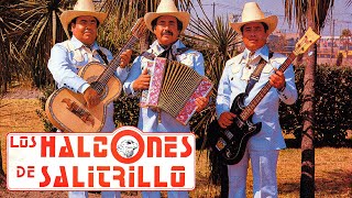 LOS HALCONES DE SALITRILLO  20 Grandes Exitos del Recuerdo [upl. by Meean]