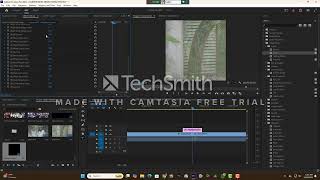 Flash Effect Tutorial । Premiere Pro CC 2024 [upl. by Inuat]