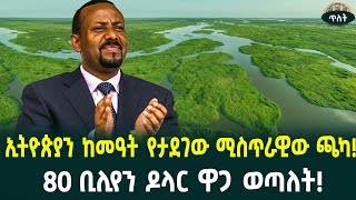 ከናይጄሪያ መጥተው ሰፍረውበታል ኢትዮጵያን ከመዓት የታደገው ሚስጥራዊው ጫካ80 ቢሊየን ዶላር ዋጋ ወጣለት [upl. by Oiluj]