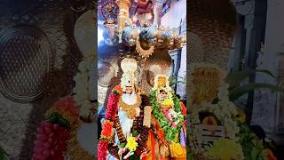 Enfield Nagapooshani Ambaal’s Temple  31102024 Part 3 [upl. by Ledarf]