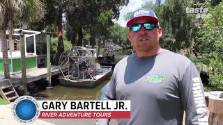 Explore Floridas nature coast on an airboat tour  Taste and See Tampa Bay [upl. by Bathelda]